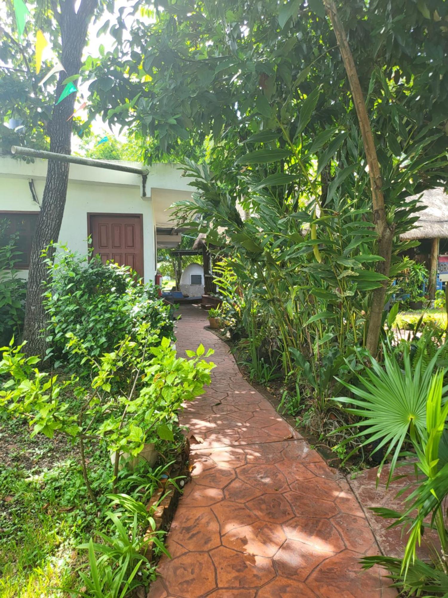 Cabanas Colibri Bacalar Ngoại thất bức ảnh